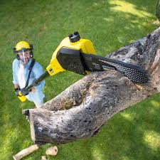 Pest Control for Lawns in Orfordville, WI